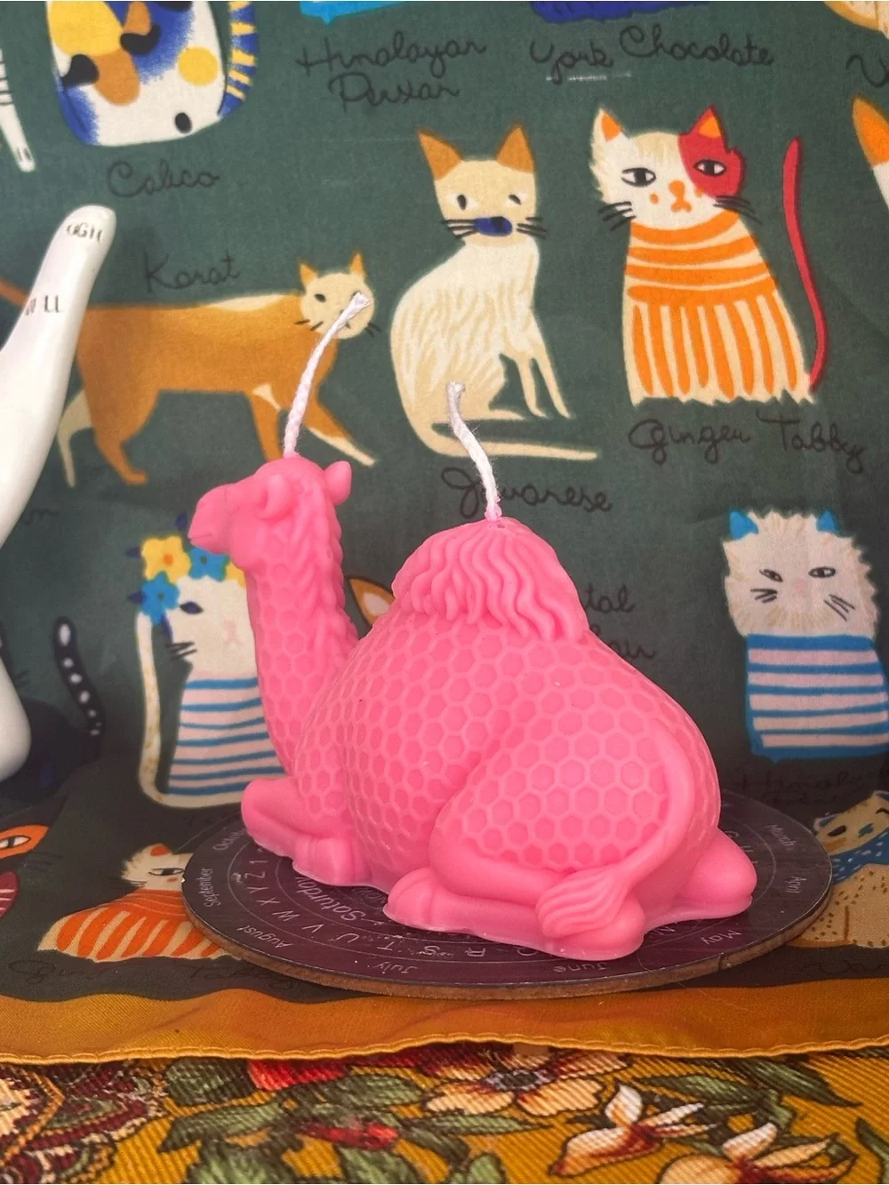 Cosmic camel candle